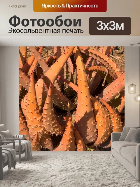 Фотообои Апельсин Алоэ Вера