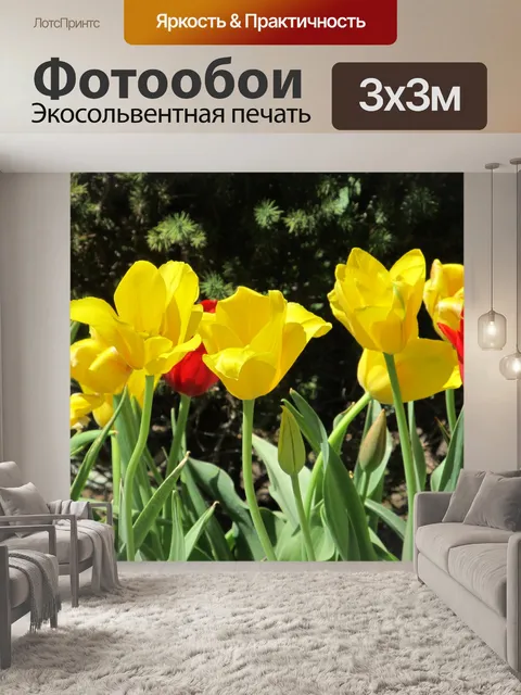 Фотообои Красочные желтые тюльпаны