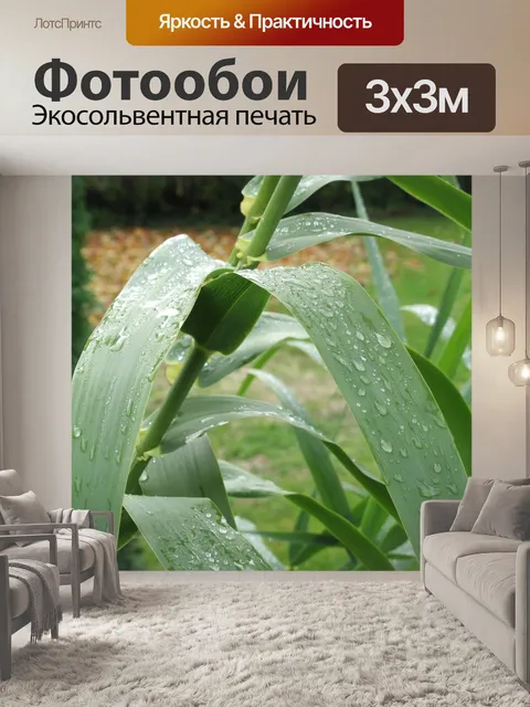 Фотообои Осень