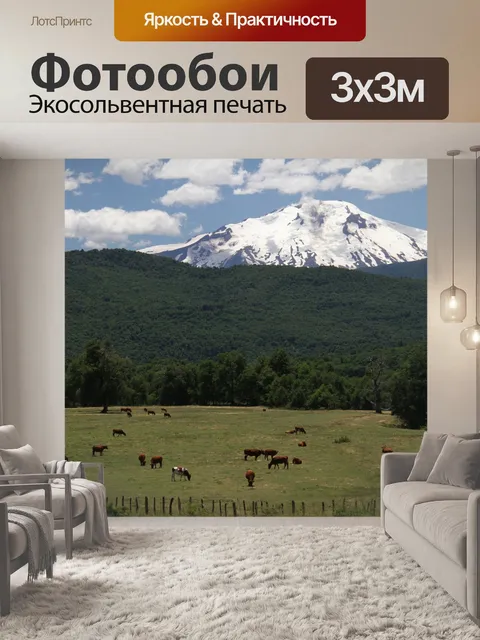 Фотообои Чили