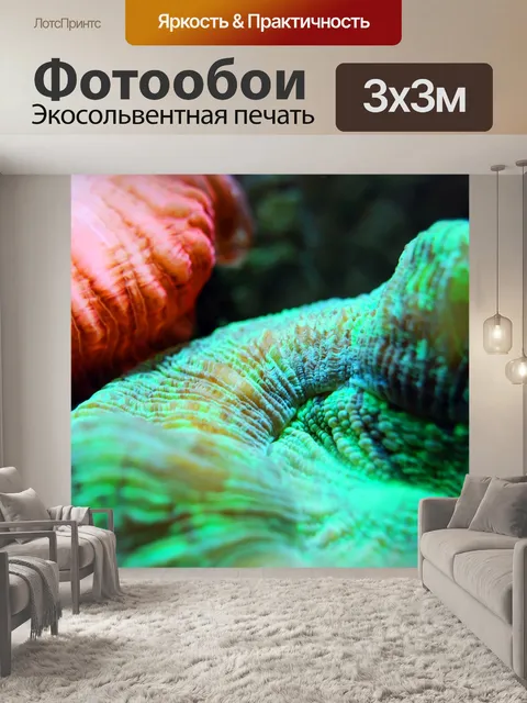 Фотообои Коралл