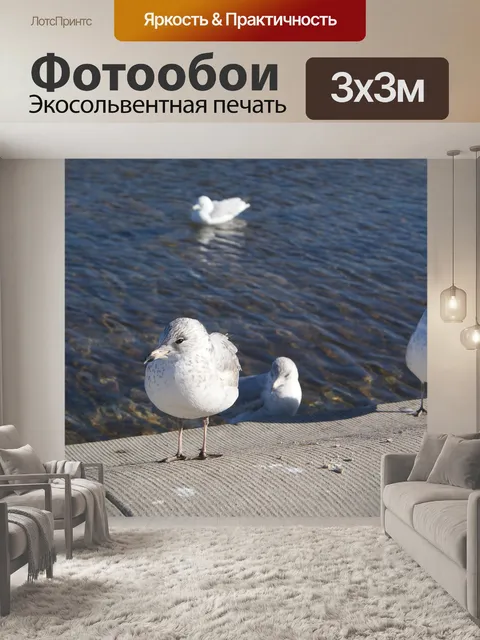 Фотообои Животные