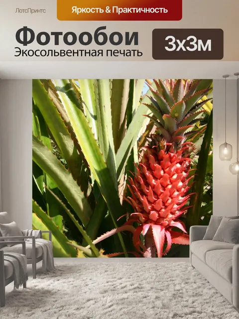 Фотообои Коста-Рика Красный Ананасы