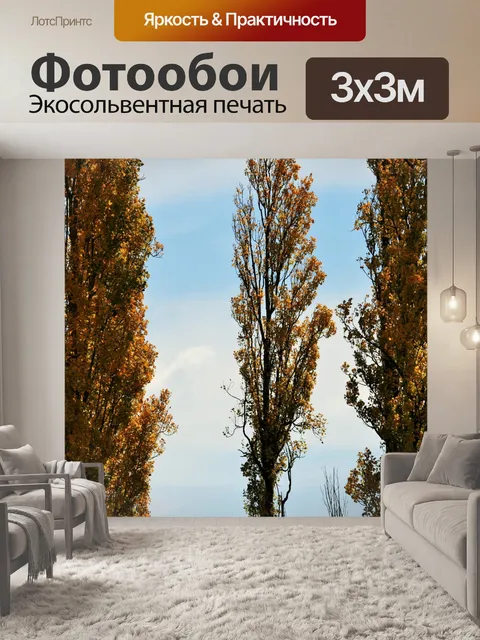 Фотообои тополя
