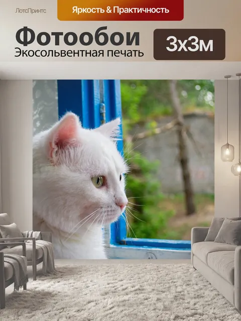 Фотообои Пушистый белый кот