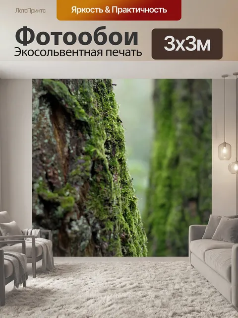 Фотообои Вниз