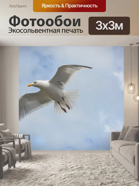 Фотообои Чайки летит