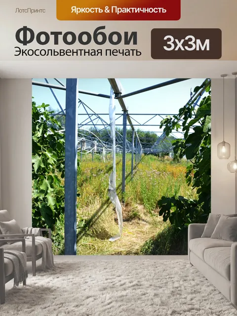 Фотообои Заброшенная теплица