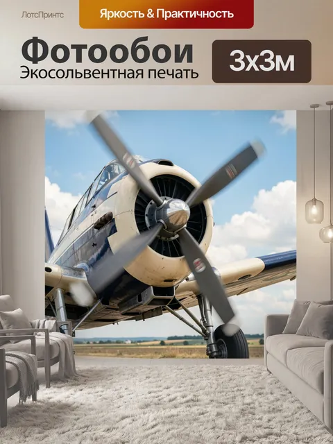 Фотообои Ретро самолет на взлете