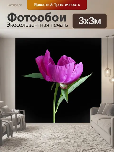 Фотообои Розовый пион