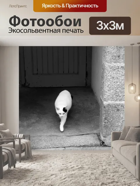 Фотообои Прогулка кошек