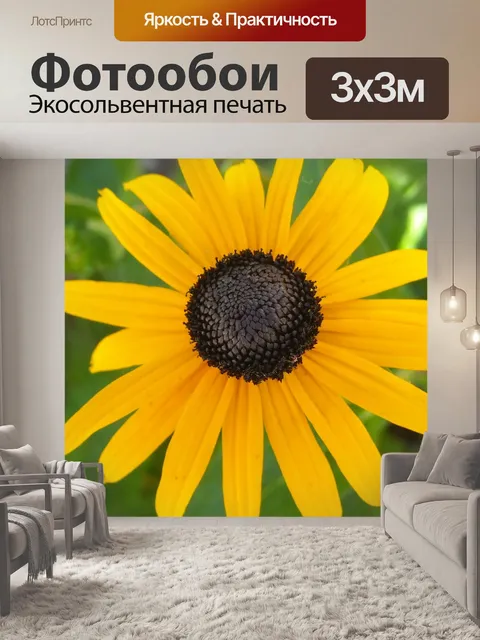 Фотообои Цветок