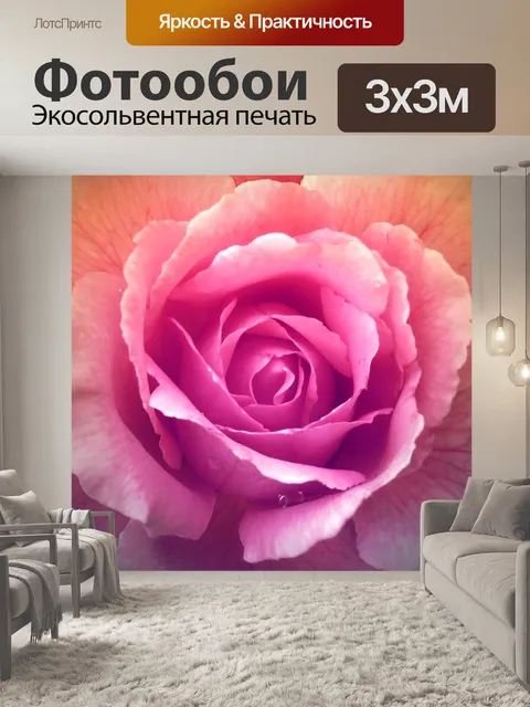 Фотообои Фотография Цветка Розы