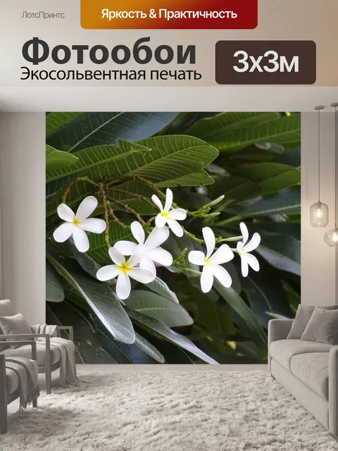 Фотообои Цветы