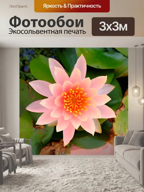 Фотообои Розовый лотос