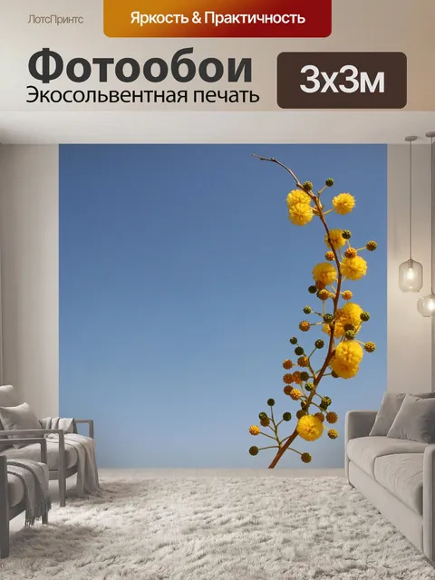 Фотообои Цветок