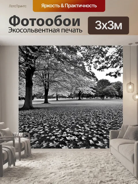 Фотообои пейзаж в стиле черно-белый, осень с листьями на земле и тихим парком