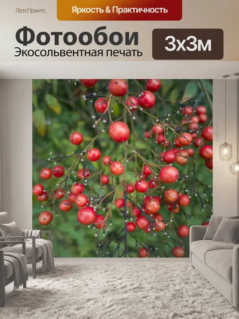 Фотообои Трава