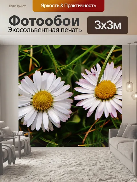 Фотообои Весенний луг