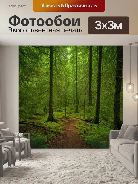 Фотообои лес с полным спокойствием и гармонией природы