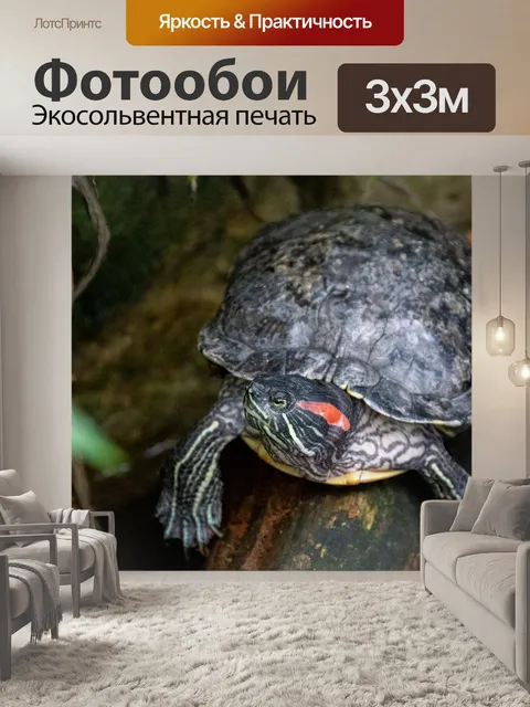 Фотообои черепаха