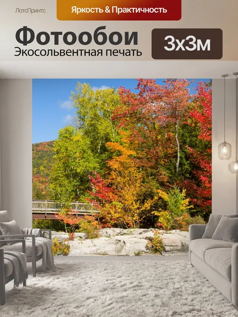 Фотообои Мост в лесу осенью