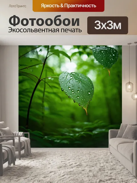 Фотообои лес с каплями дождя на листьях, создающими мелодии природы