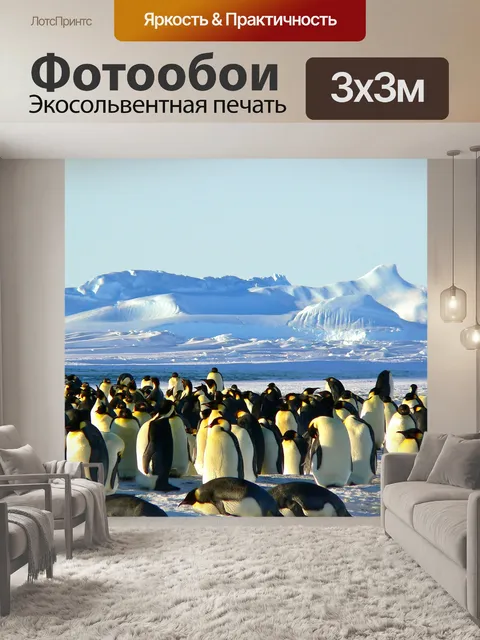 Фотообои Императорские пингвины
