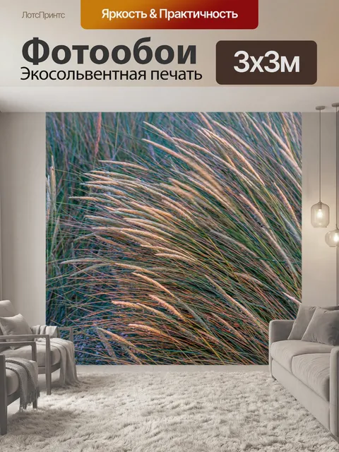 Фотообои Пляжная трава