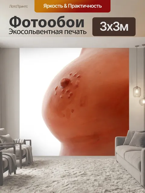 Фотообои Бюст
