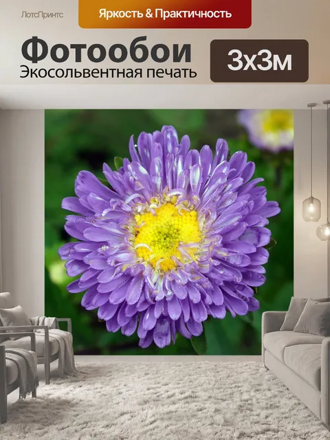 Фотообои Цветок