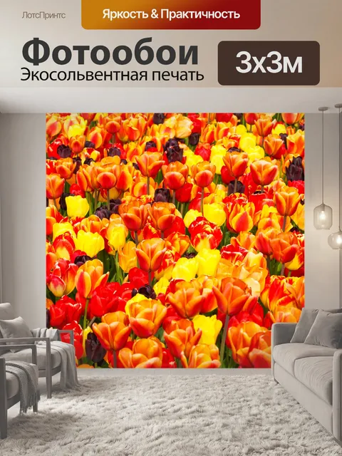Фотообои фон Красочные тюльпаны