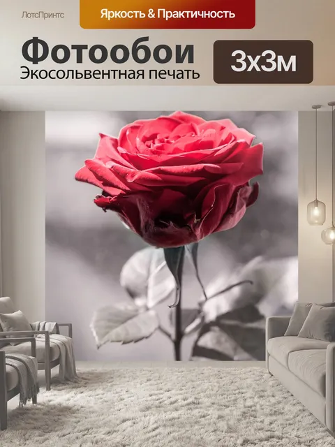 Фотообои Роза