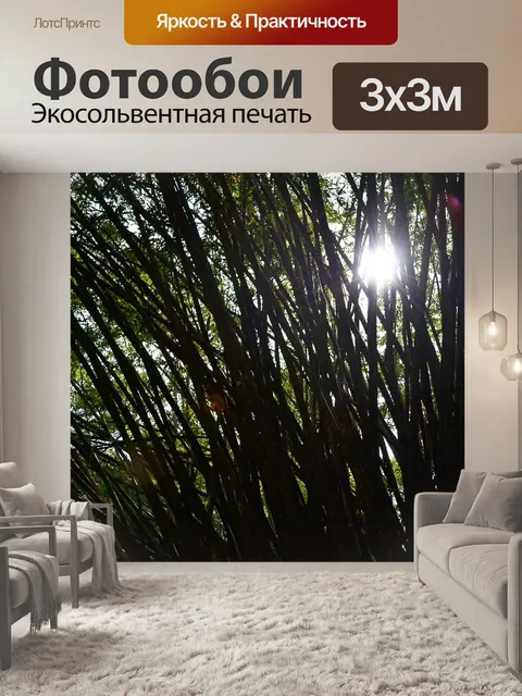 Фотообои Солнца свет