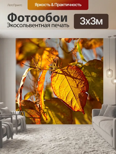 Фотообои Осенний лист