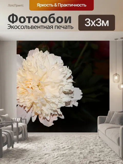 Фотообои Пион
