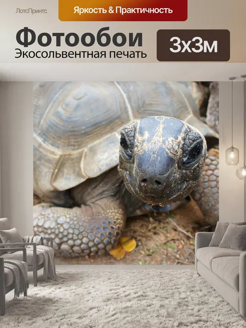 Фотообои Черепаха