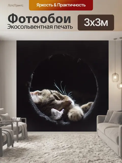 Фотообои Кот