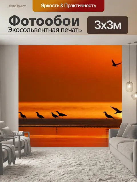 Фотообои птицы, танцующие в воздухе на фоне яркого рассвета