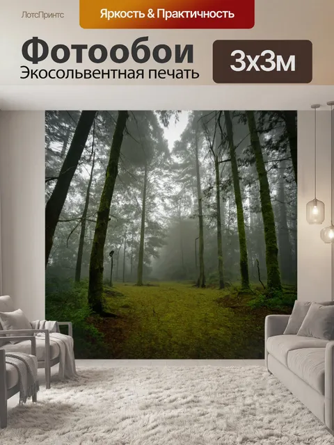Фотообои мистический лес с утренним туманом
