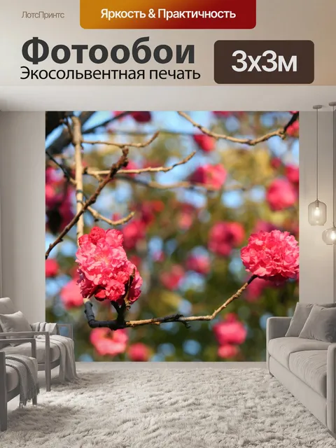 Фотообои Природа