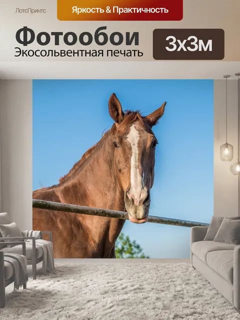 Фотообои Лошадь