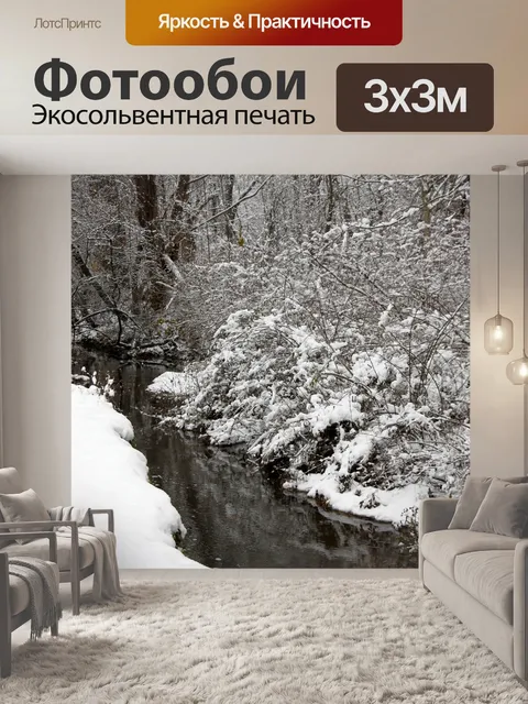 Фотообои Крик в зимний период