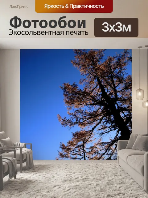 Фотообои Голубое небо