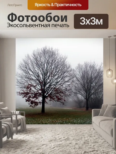 Фотообои Туман