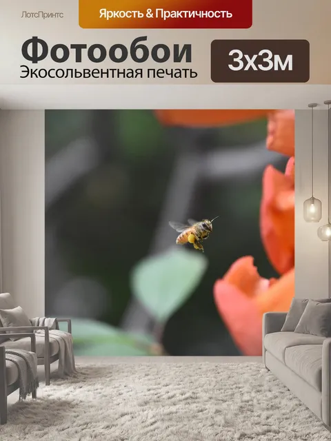 Фотообои Пчела