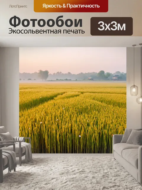 Фотообои китай, весеннее поле риса, залитое утренним туманом, с золотыми румяными структурами и падающими лепестками…