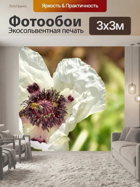 Фотообои Белый цветок с пчелами