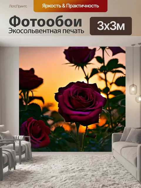 Фотообои розы в стиле романтизм с акцентом на силуэты цветов при закате, создающие контраст и драматичность
