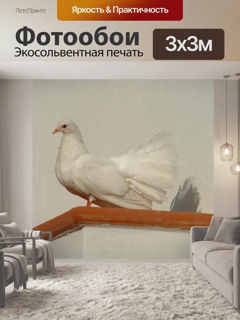 Фотообои Коломбо